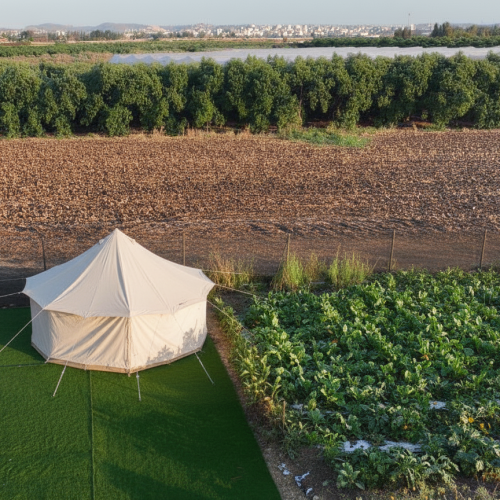 מרחב הסדנאות